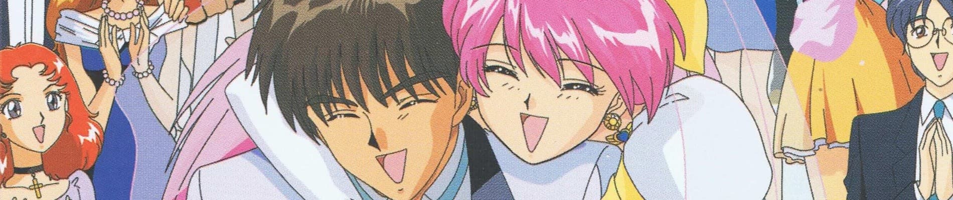 Banner for Wedding Peach