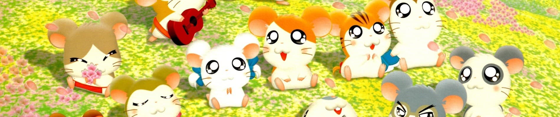 Banner for Hamtaro