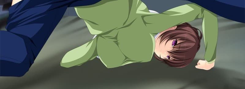 Banner for Security Guard at Home